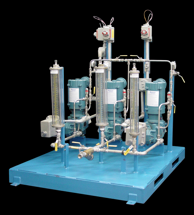 Neptune Chemical Injection Skid